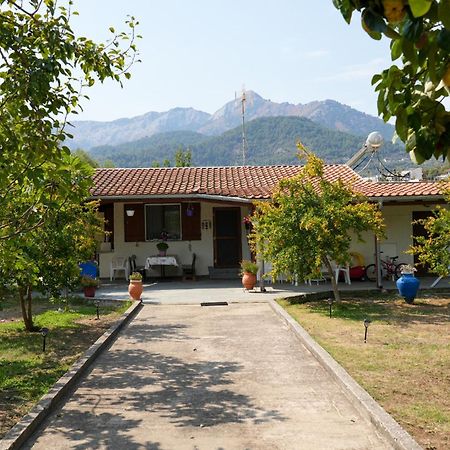 Olive Summer House Chrysi Ammoudia Buitenkant foto