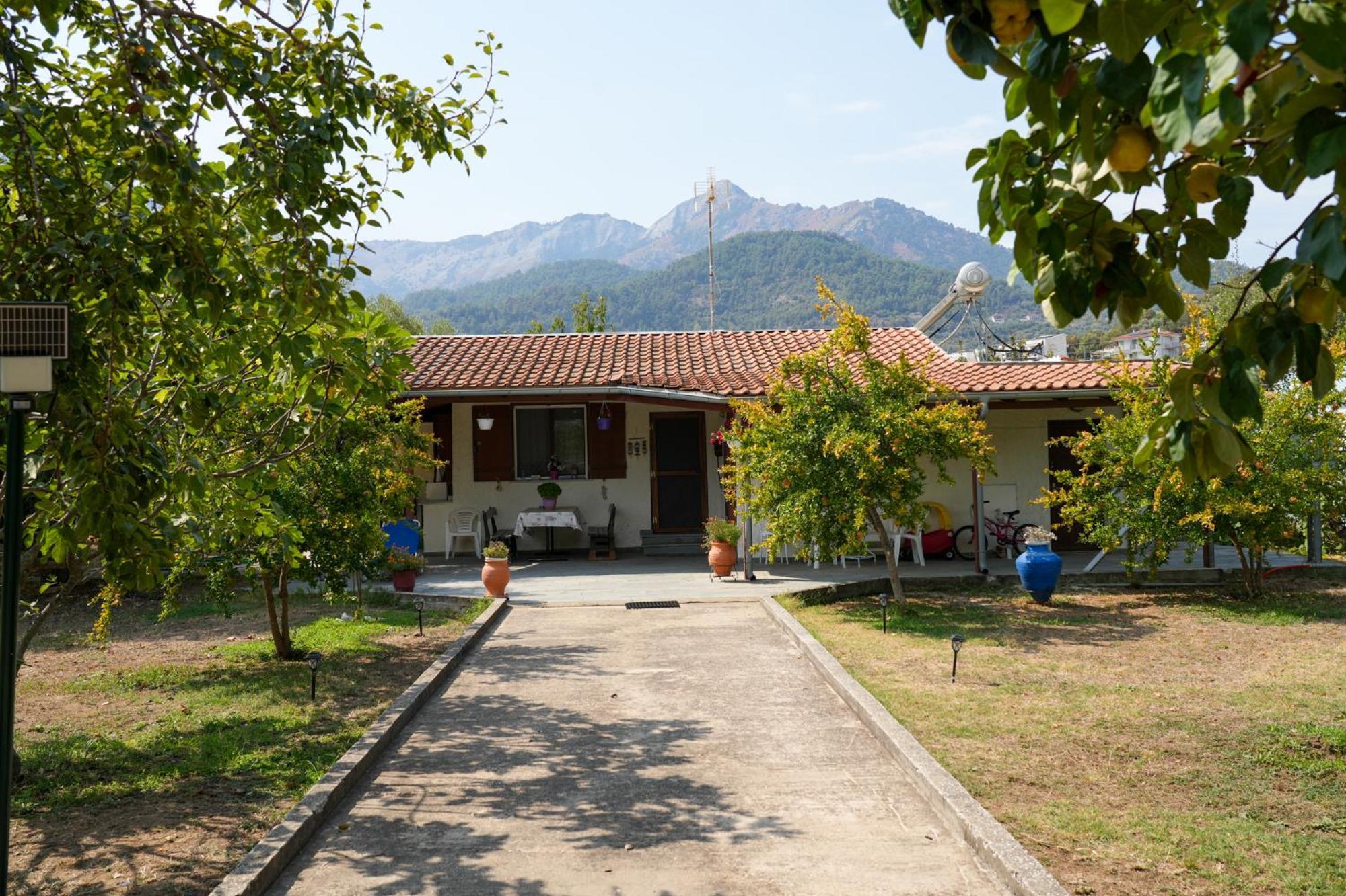 Olive Summer House Chrysi Ammoudia Buitenkant foto