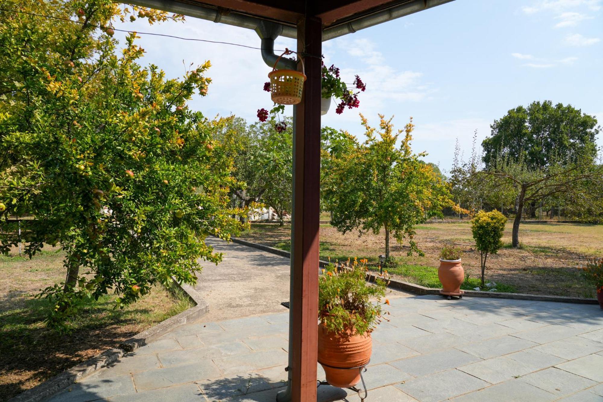 Olive Summer House Chrysi Ammoudia Buitenkant foto