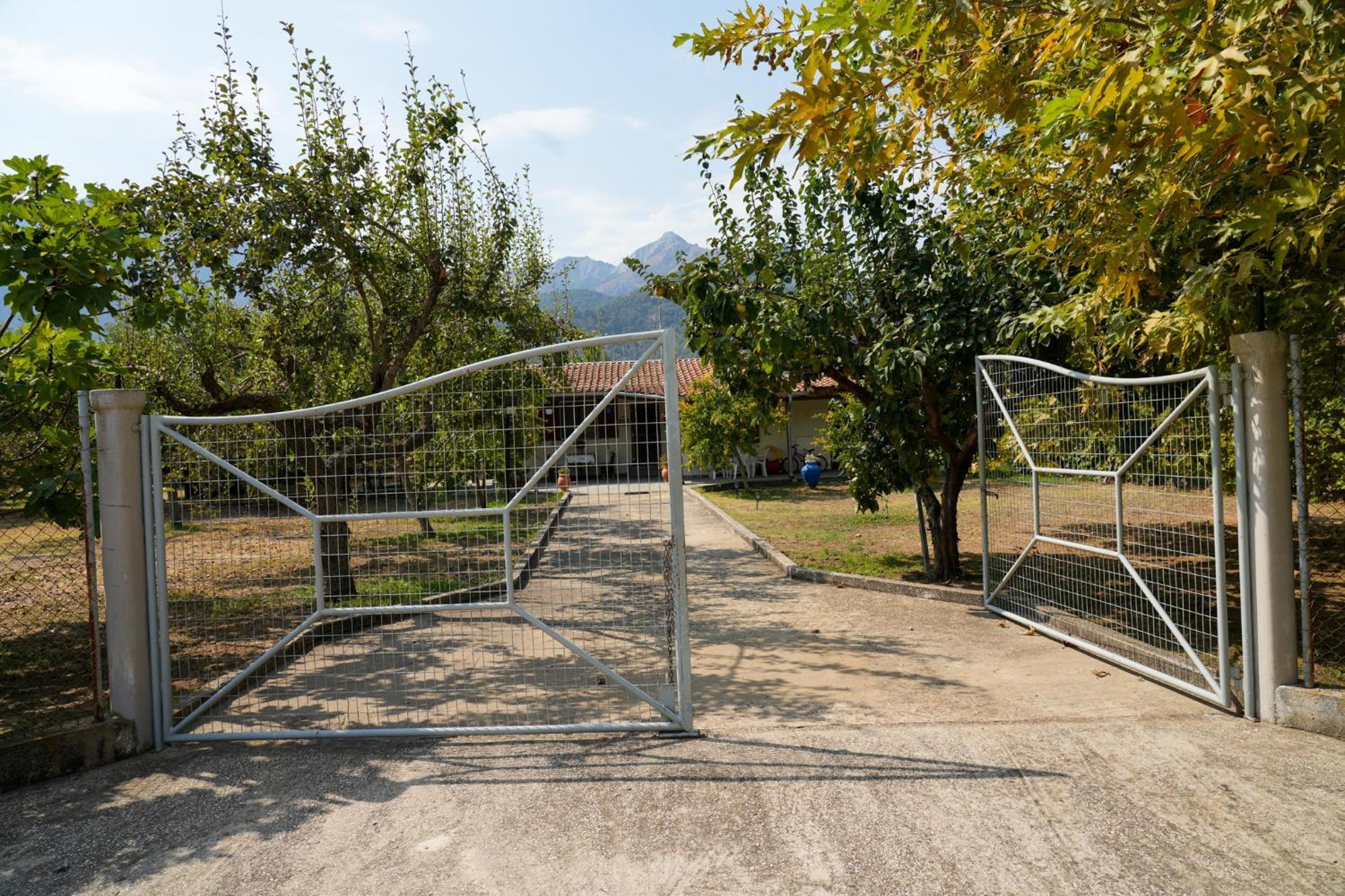 Olive Summer House Chrysi Ammoudia Buitenkant foto