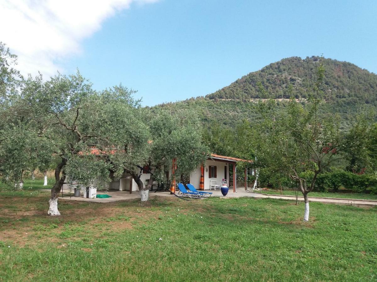 Olive Summer House Chrysi Ammoudia Buitenkant foto