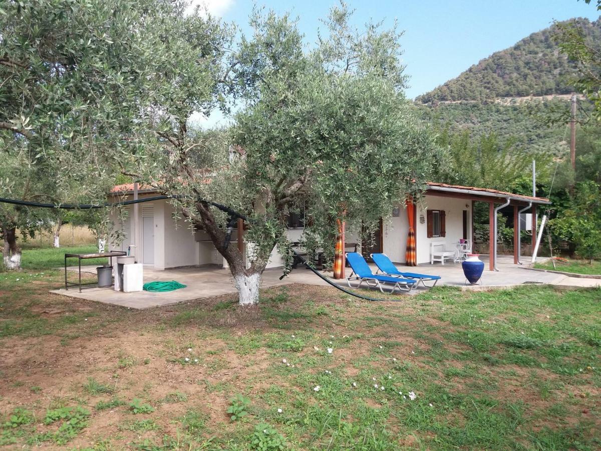 Olive Summer House Chrysi Ammoudia Buitenkant foto
