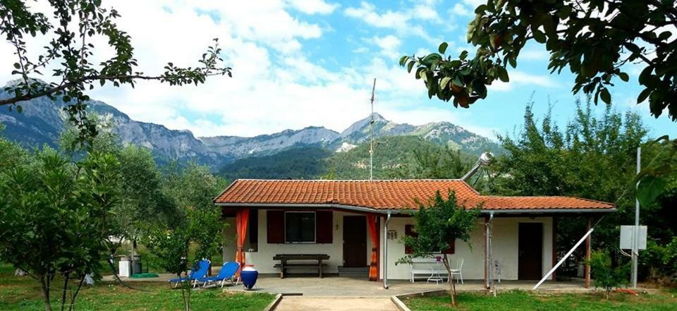 Olive Summer House Chrysi Ammoudia Buitenkant foto